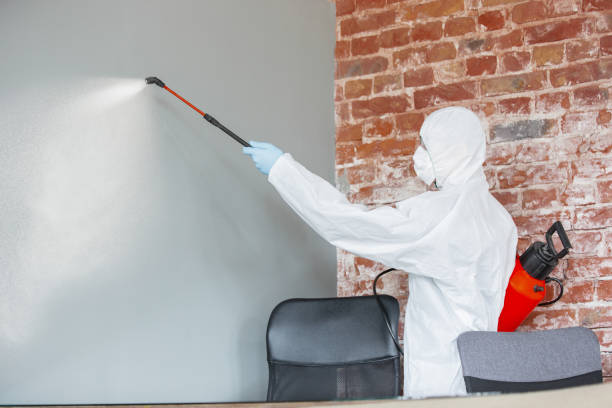 Dehumidification Services in Woodacre, CA