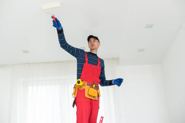Best Mold Documentation for Insurance Claims  in Woodacre, CA