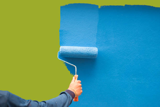 Best Black Mold Removal  in Woodacre, CA